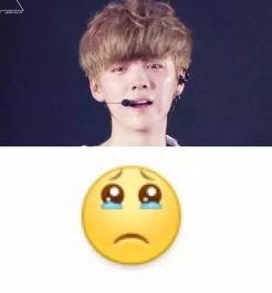 晚安鹿晗表情包,表情包中的青春旋律